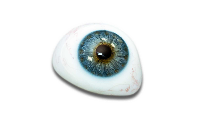 Artificial Eye