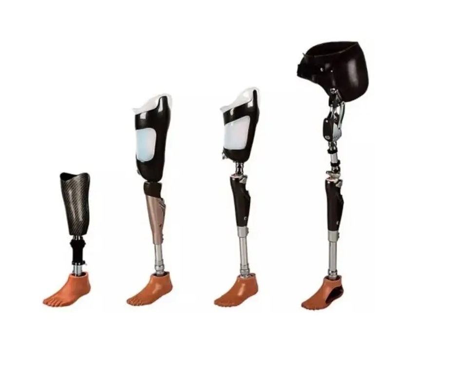 Lower Limb Prosthetics