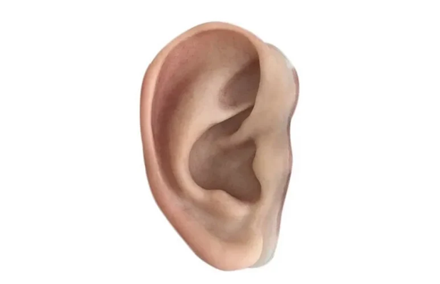 Artificial Ear